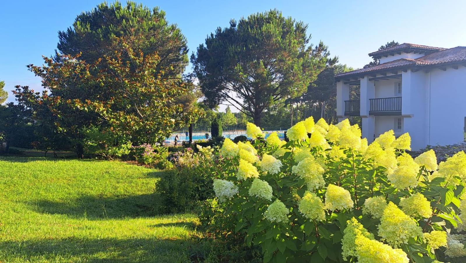 Апартаменти Atlantic Selection - Domaine De Bordaberry - Terrasse & Superbe Piscine Юррюнь Екстер'єр фото